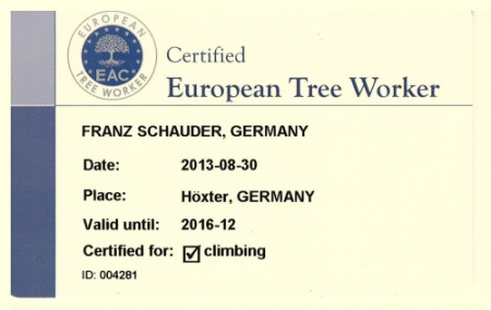 Certified Tree Worker